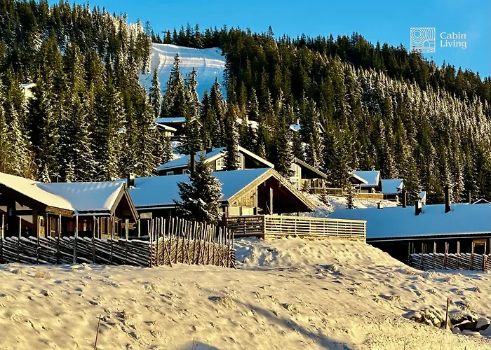 Modern Sports Cabin On Sjusjoen With Sauna And Waxing Room